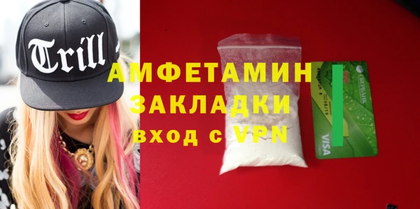 индика Баксан