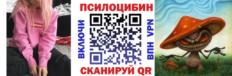 Купить где Губкин Псилоцибиновые грибы мицелий