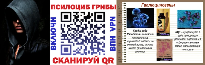 Псилоцибиновые грибы ЛСД Губкин